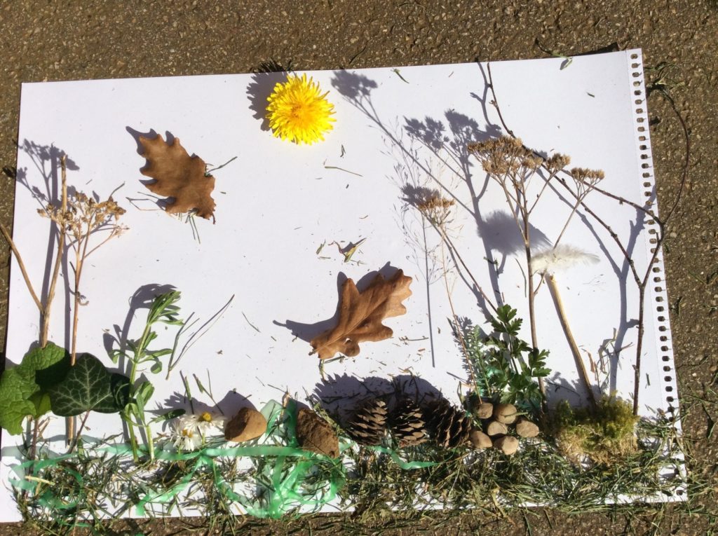 Art with natural material