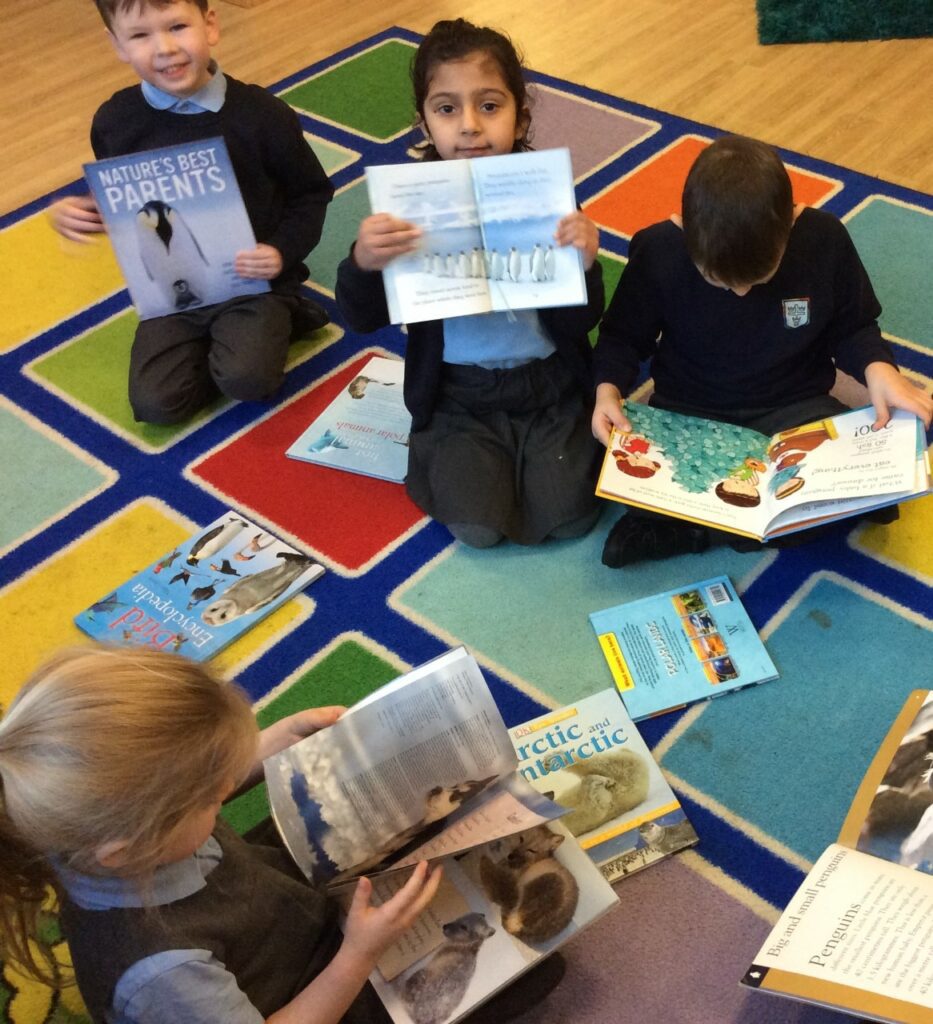 Learning about penguins